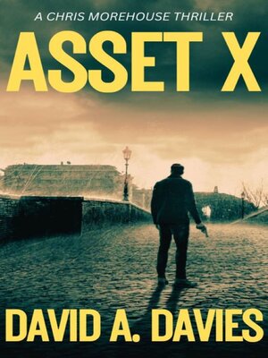 cover image of Asset X